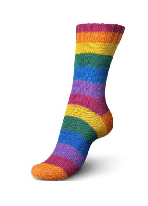 Rainbow 01735