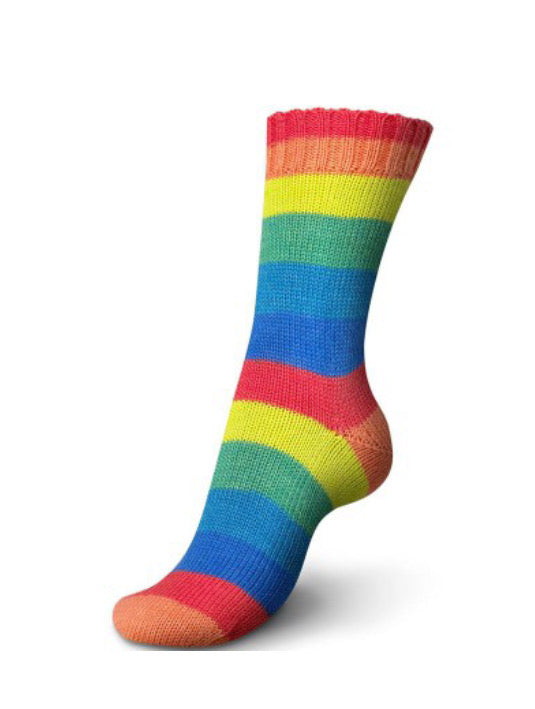 Rainbow 01736
