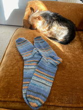 Load image into Gallery viewer, A Sock named Sock.