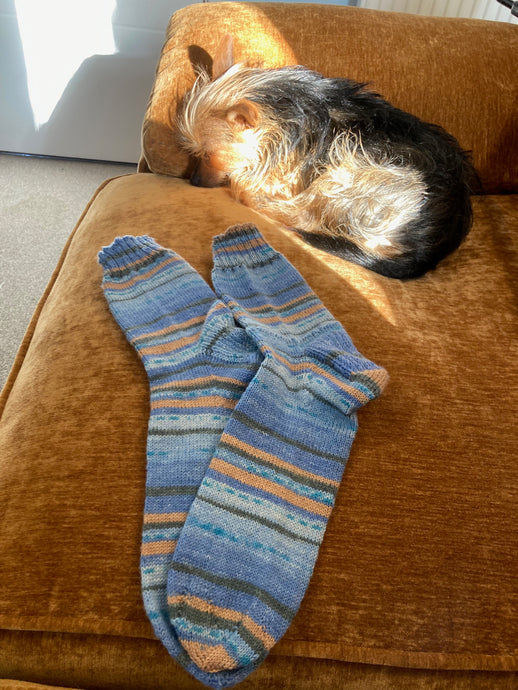 A Sock named Sock.